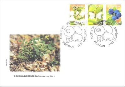BOROVNICA - SADNE VRSTE V SLOVENIJI
